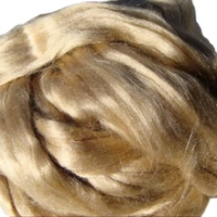 Silk Fiber