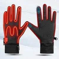 Ski Gloves