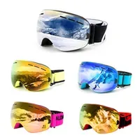 Ski Goggles