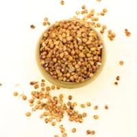 Sorghum