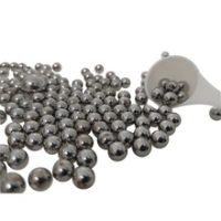 Stainless Steel Balls