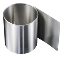 Stainless Steel Strips