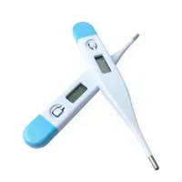 Thermometer